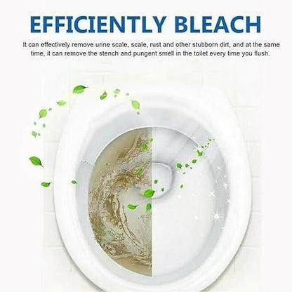 Toilet Cleaning Agent Powder Foaming 500 gm (Pack of 1)